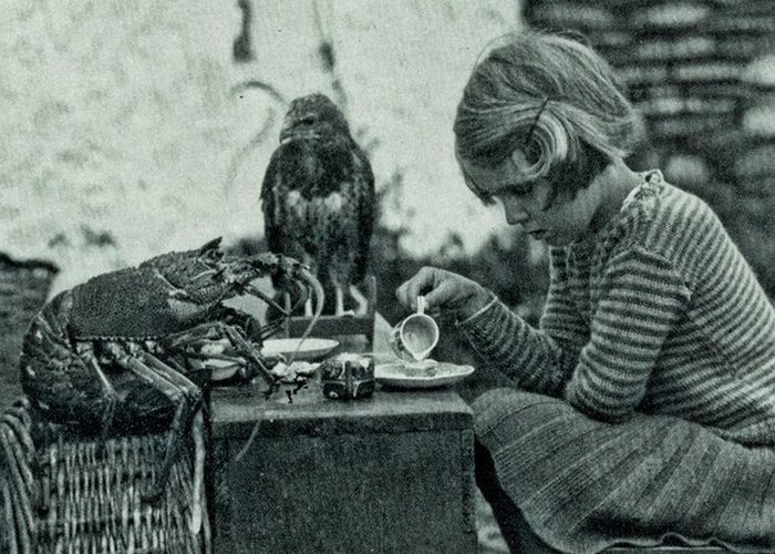 Исчезнувшие достопримечательности: обед и развлечения с аллигаторами в центре мегаполиса () Исчезнувшие достопримечательности: обед и развлечения с аллигаторами в центре мегаполиса