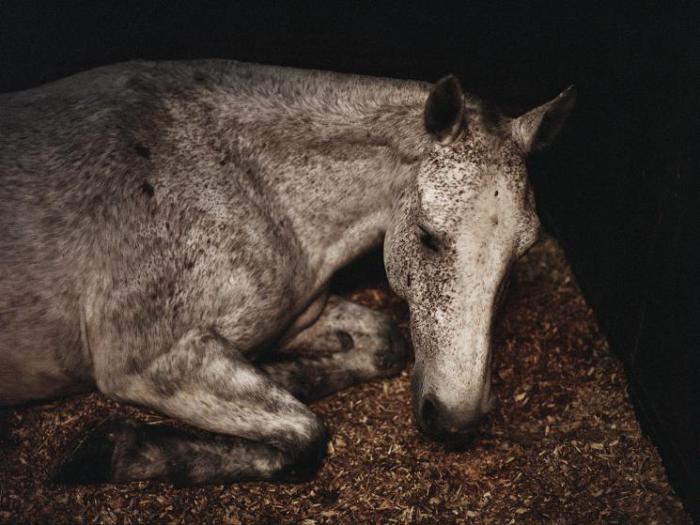 Национальное кладбище Арлингтон, Арлингтон, штат Вирджиния. Национальное кладбище Арлингтон, Арлингтон, штат Вирджиния.