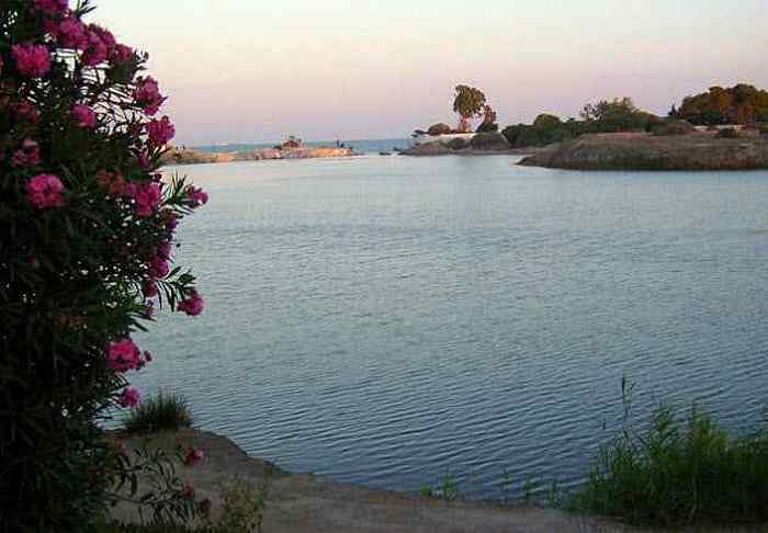 Карфагеняне в Америке. Карфагеняне в Америке.