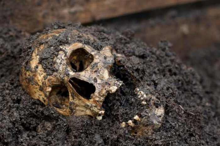 Резня в Ковбой Уош. Резня в Ковбой Уош.