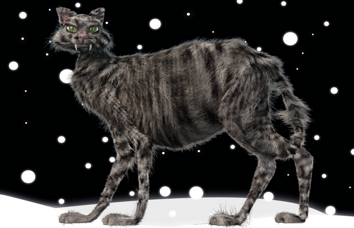 Йольский кот.