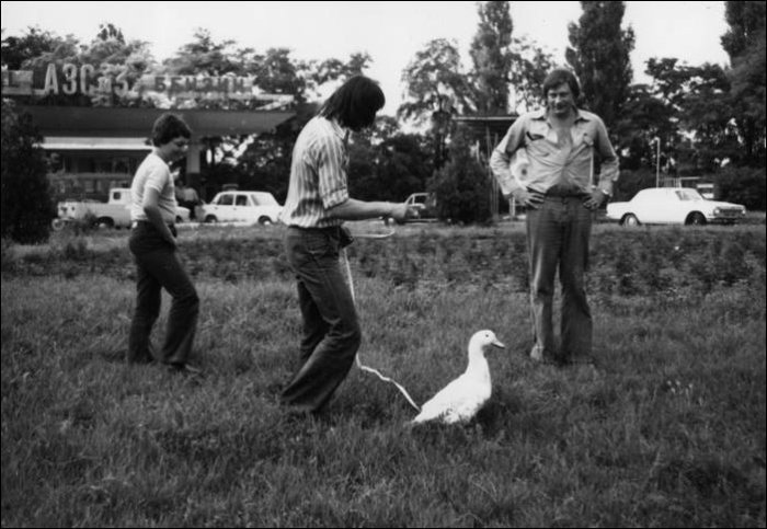 Если не рыба, то хотя бы гусь на шашлык. Если не рыба, то хотя бы гусь на шашлык.