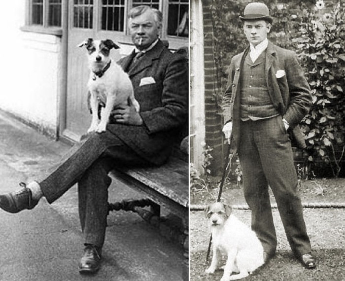 Вымышленный фокстерьер Монморанси вскоре стал настоящим псом Джимом Вымышленный фокстерьер Монморанси вскоре стал настоящим псом Джимом