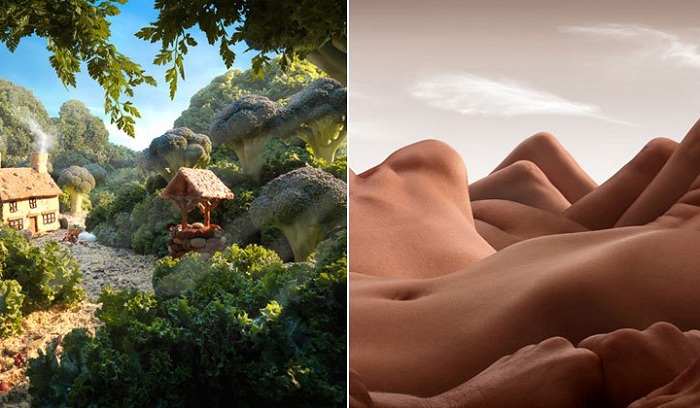 Не совсем природные ландшафты. Не совсем природные ландшафты.