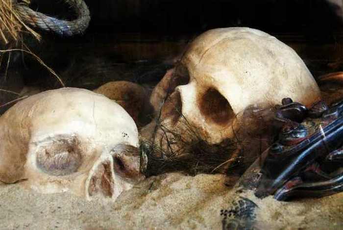 Ферма тел (Университет Теннесси, США). Ферма тел (Университет Теннесси, США).