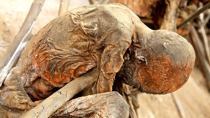 Мумии племени анга (Регион Асеки, Папуа-Новая Гвинея) Мумии племени анга (Регион Асеки, Папуа-Новая Гвинея)