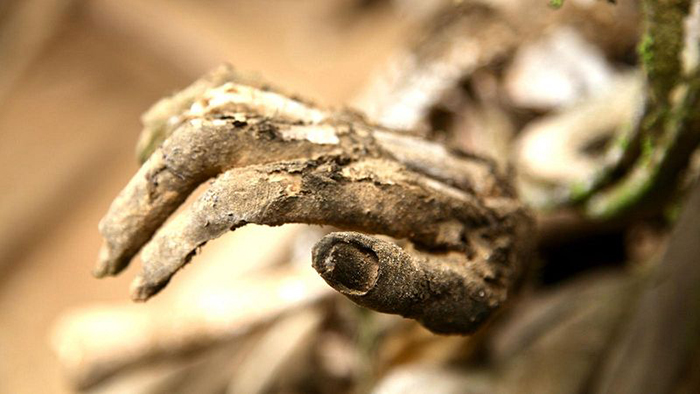 Мумии племени анга (Регион Асеки, Папуа-Новая Гвинея) Мумии племени анга (Регион Асеки, Папуа-Новая Гвинея)