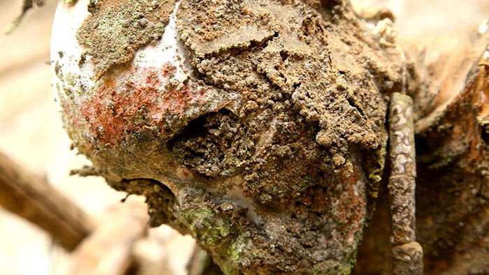 Мумии племени анга (Регион Асеки, Папуа-Новая Гвинея) Мумии племени анга (Регион Асеки, Папуа-Новая Гвинея)