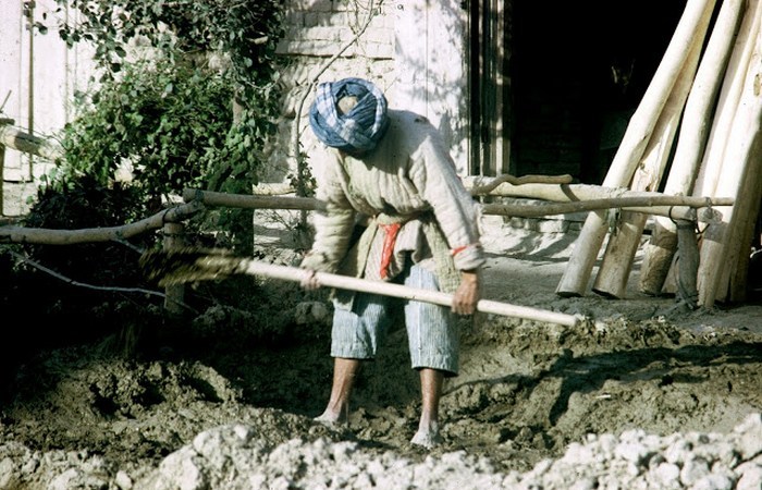 Крестьянин за работой. Крестьянин за работой.