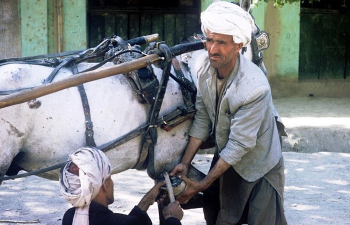 Кузнец. Кузнец.