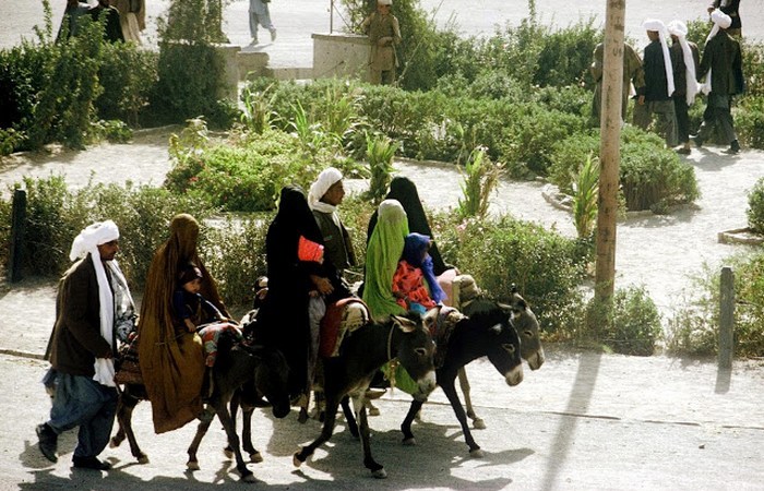 Семейный выход в свет. Семейный выход в свет.