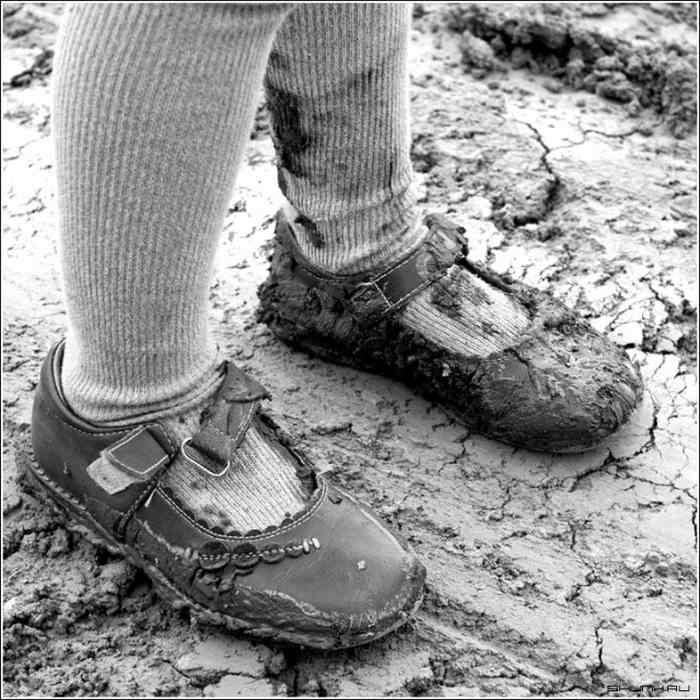 Беззаботность и безнаказанность. Беззаботность и безнаказанность.