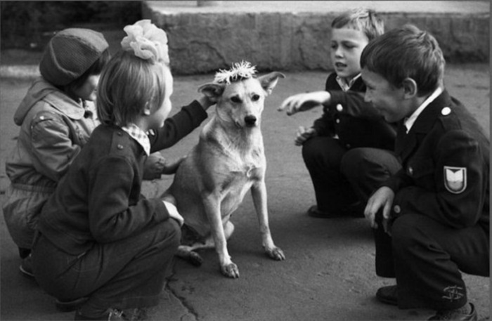 Дети пришли в школу и увидели собаку, которую решили одарить цветами. Дети пришли в школу и увидели собаку, которую решили одарить цветами.