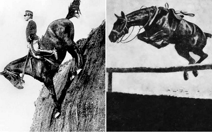 Кавалерист. Снимок начала 20 века.