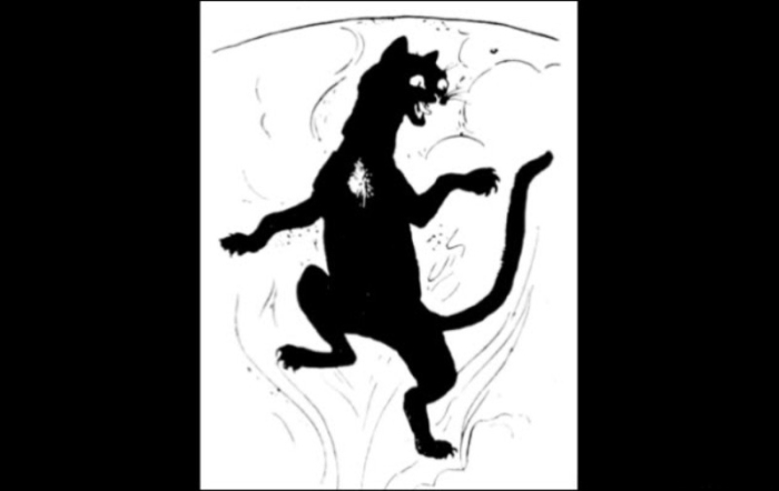 Кайт ши - чёрная кошка с белым пятном. Кайт ши - чёрная кошка с белым пятном.