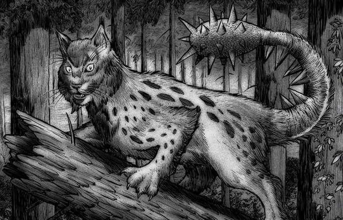 Булавохвостые кошки. Булавохвостые кошки.