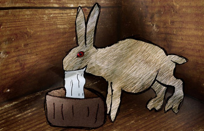 Коты-тролли. Коты-тролли.