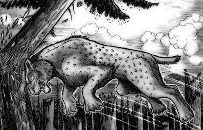 Раскалывающие коты. Раскалывающие коты.