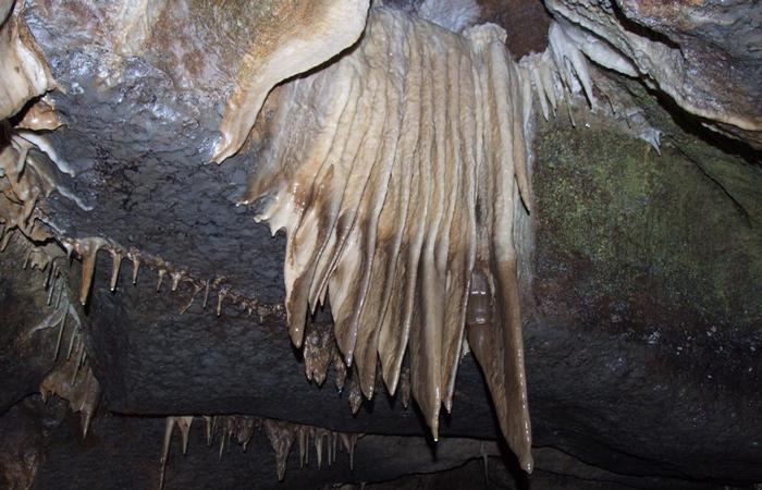 Стражи потустороннего. Стражи потустороннего.