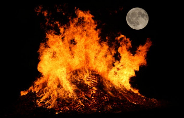 Большие Уши. Большие Уши.