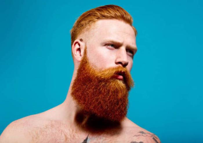 Рыжие – обладатели яркой внешности и противоречивой натуры Рыжие – обладатели яркой внешности и противоречивой натуры
