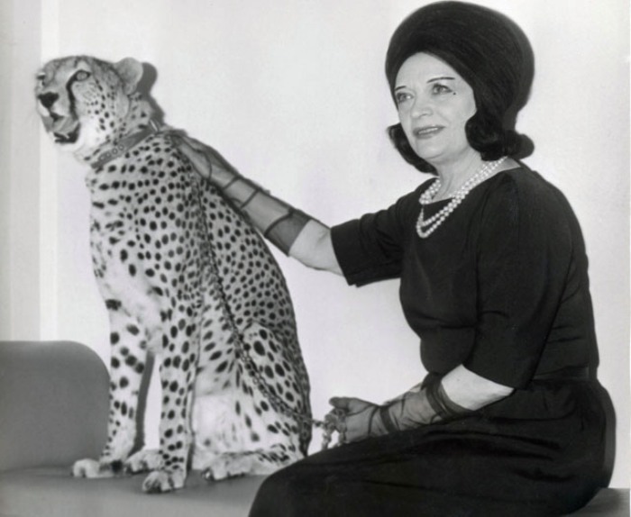 Пола Негри - звезда немого кино Пола Негри - звезда немого кино