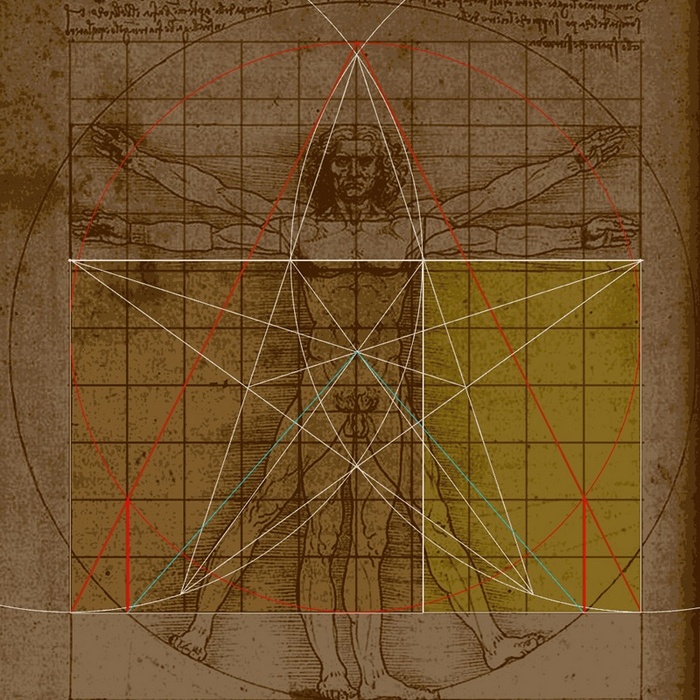 Витрувианский человек. Витрувианский человек.
