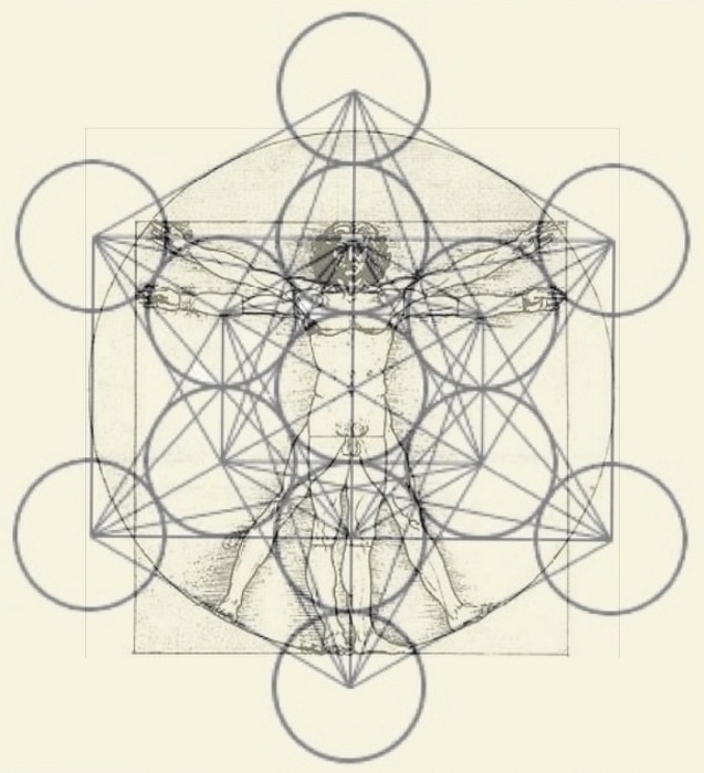 Витрувианский человек. Витрувианский человек.
