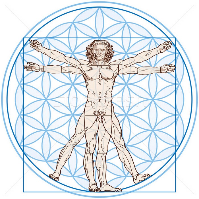 Витрувианский человек. Витрувианский человек.