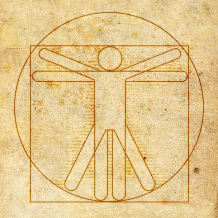 Витрувианский человек. Витрувианский человек.