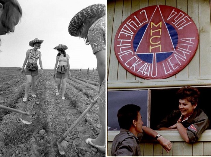 Студенческие годы: 17 фотографий советских студентов за учёбой и на отдыхе () Студенческие годы: 17 фотографий советских студентов за учёбой и на отдыхе