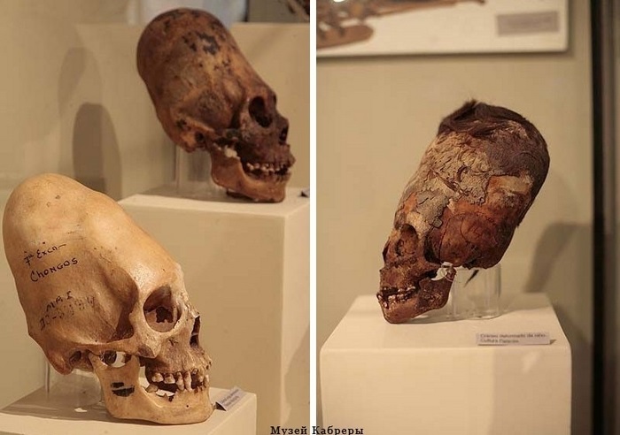 Музей Кабреры