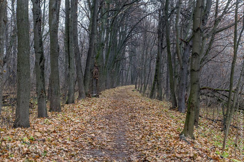 Усадьба Быково - островок Европы в Подмосковье / Россия
