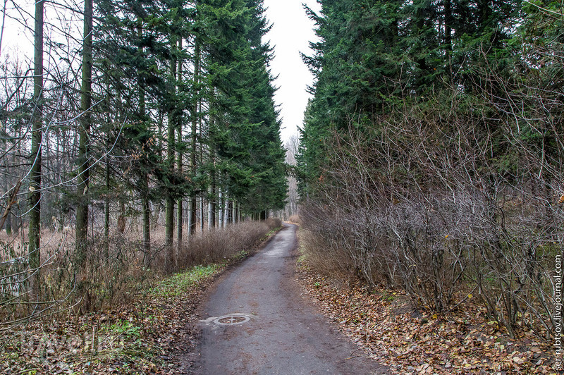 Усадьба Быково - островок Европы в Подмосковье / Россия