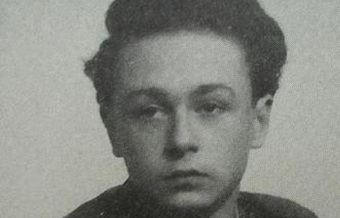 Мешает спать и сводит с ума.