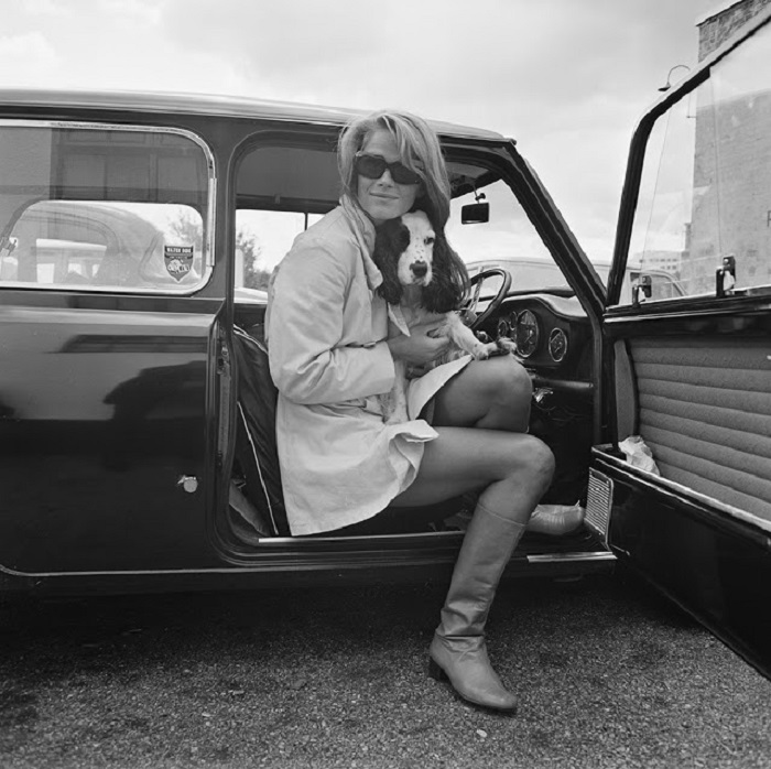 Британская актриса в автомобиле с любимцем спаниелем.
