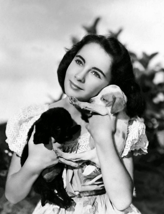 Красавицы Элизабет с маленькими щенятами. Красавицы Элизабет с маленькими щенятами.