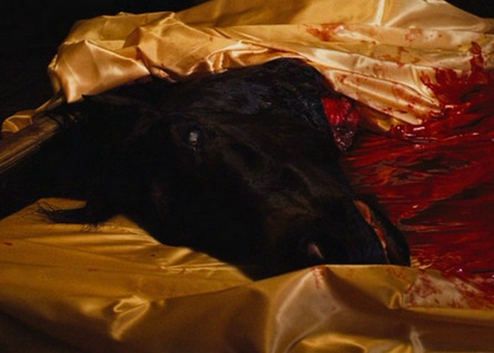 Голова лошади в постели была настоящей. Голова лошади в постели была настоящей.