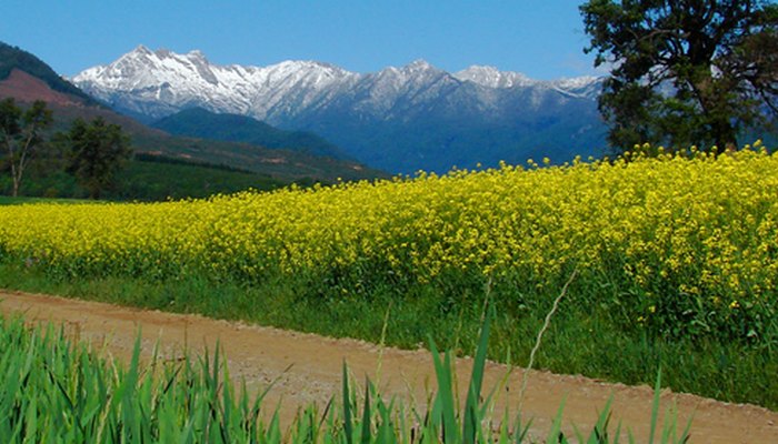 Чем не Новая Германия? Осторожно, нацизм. Чем не Новая Германия? Осторожно, нацизм.