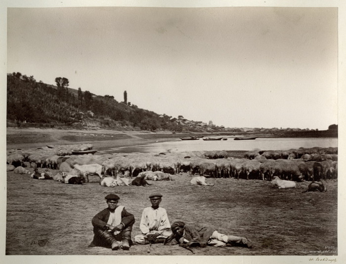 Пастухи. Цимлянская станица. 1875-1876 год. Пастухи. Цимлянская станица. 1875-1876 год.