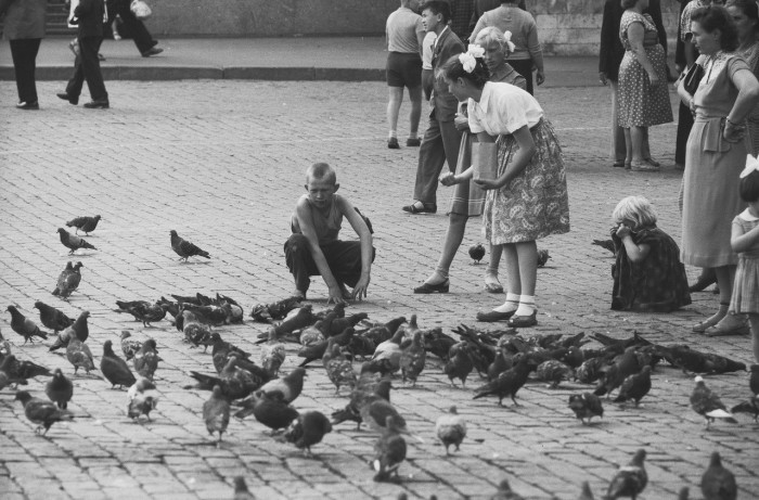 Уличная сцена. Москва, 1960-е годы. Уличная сцена. Москва, 1960-е годы.