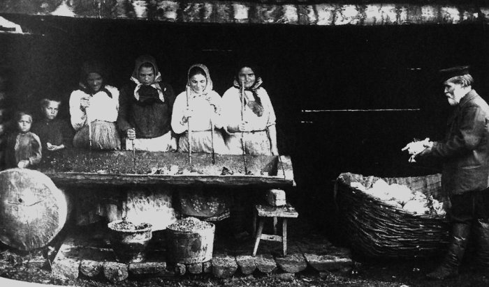 Заготовка капусты на зиму. Южный Урал, 1914