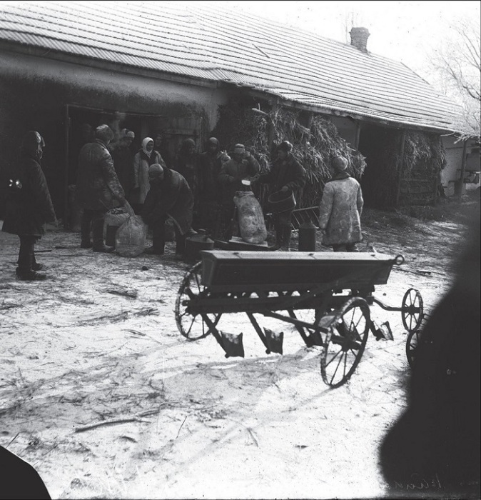 Двор в одном из сел. Донецкая область, 1931 год.