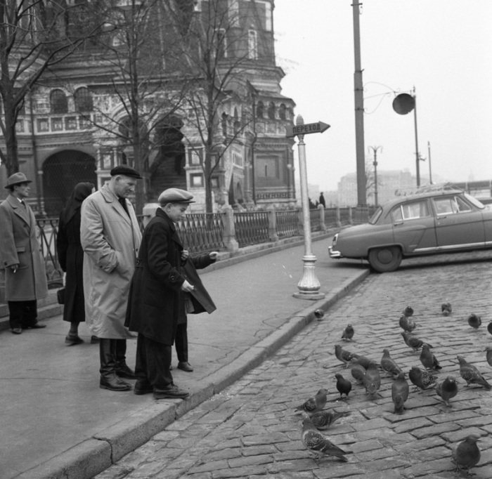 Кормление голубей во время прогулки, 1969 год.