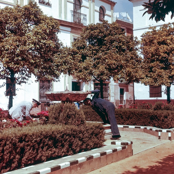 Предусмотрительные испанцы заботливо расположили на каждом шагу питьевые фонтанчики для туристов. Предусмотрительные испанцы заботливо расположили на каждом шагу питьевые фонтанчики для туристов.