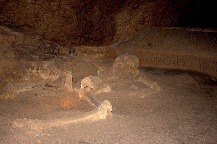 Внутри пещеры находятся скелеты жертв религиозных ритуалов Майя.