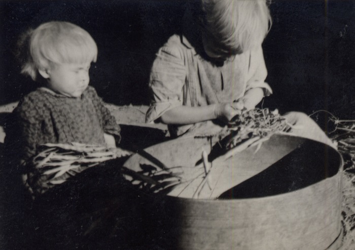 Дети помогают чистить фасоль, 1939 год.