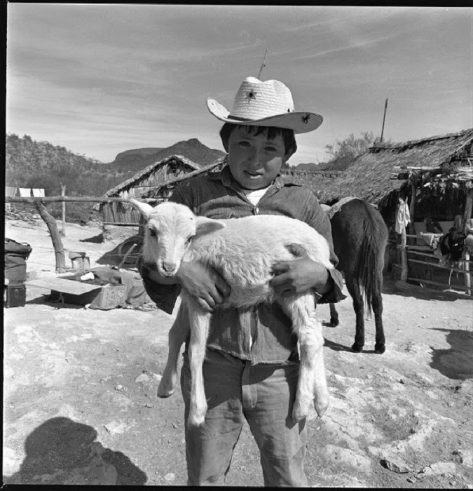 Маленький мальчик, переносит козу на ранчо, 1967 год.