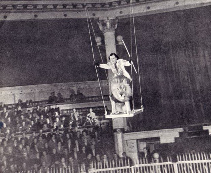 Ирина Бугримова со львом на качелях под куполом цирка | Фото: ruscircus.ru