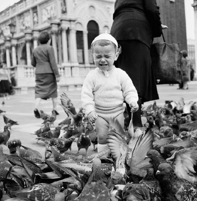 Ребенок испугался неожиданно налетевших голубей. Венеция, 1956 год.